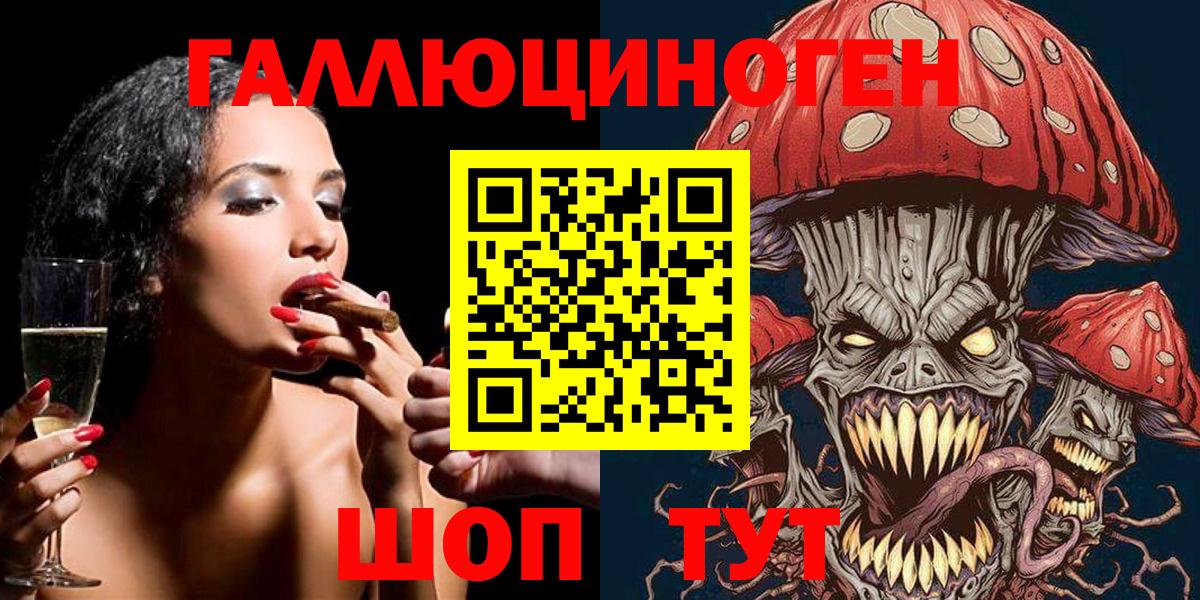 закладка  Вход с VPN  Галлюциногенные грибы Magic Shrooms  Каменка  Псилоцибиновые грибы Cubensis 